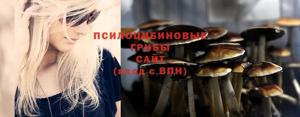 эйфоретик Алексеевка