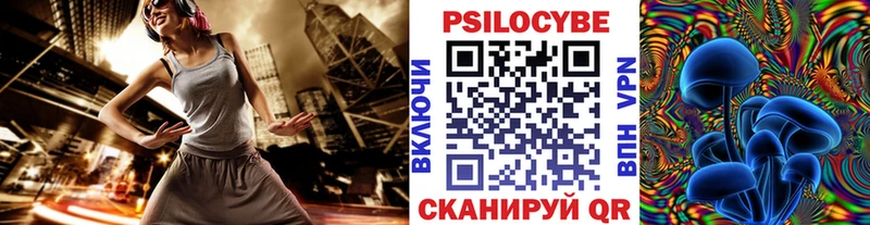 Псилоцибиновые грибы мухоморы  где купить наркоту  Салехард 